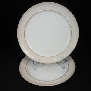 2 beautiful luncheon plates. Denby UK Stoneware